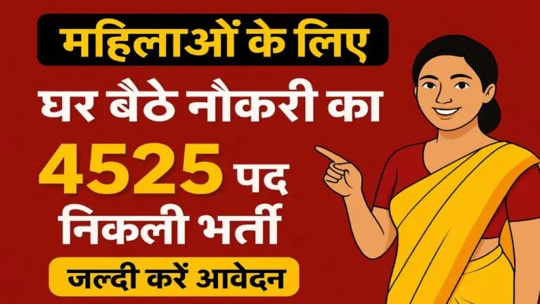 Mukhyamantri Work From Home Yojana